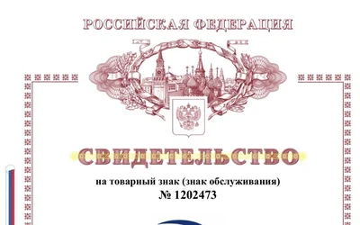 Свидетельство Роспатента на товарный знак «Дмитрий Мальцев. Тренинг — когда нужен результат»